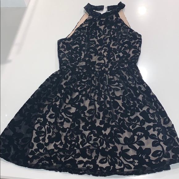 Arden B Dresses & Skirts - Black crushed velvet high neck open back dress